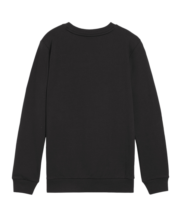 PUMA teamGOAL Casuals Sweatshirt Kids Schwarz F03 - schwarz
