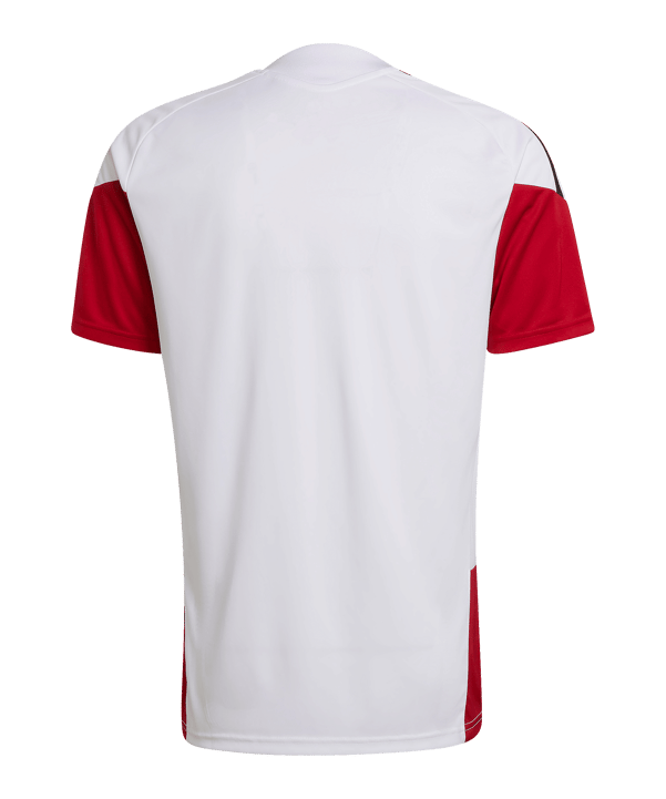 adidas DFB Deutschland Tiro Trainingsshirt Weiß - weiss