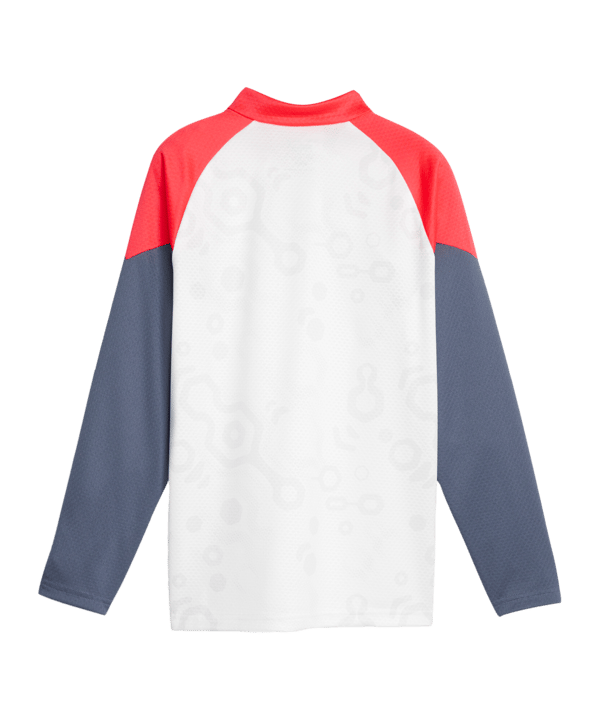 PUMA individualCUP HalfZip Sweatshirt Kids F53 - weiss