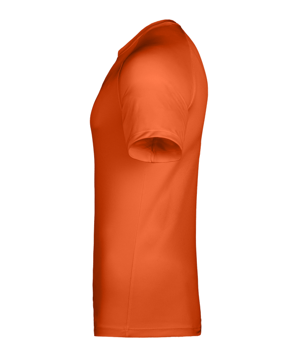 Nike Park VIII Trikot Orange F819 - orange
