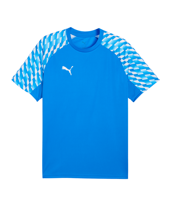 PUMA teamLIGA26 Trikot Blau F02 - blau