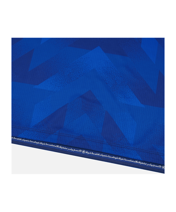Macron Karlsruher SC Trikot Home 2025/2026 Blau - blau