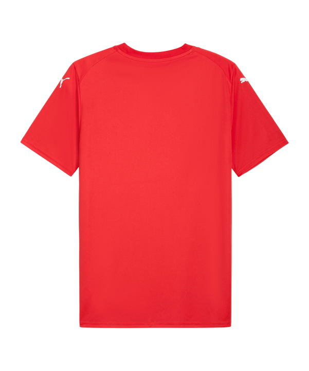 PUMA teamFINAL Graphic Trikot Rot F01 - rot