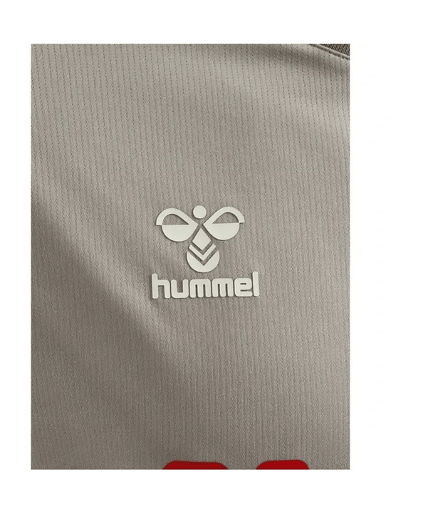 Hummel SSV Jahn Regensburg Trikot 3rd 2025/2026 Kids Grau F2540 - grau