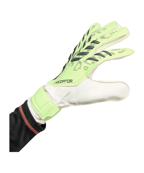 adidas Predator Training Torwarthandschuhe Radiant Blaze Grün - gruen