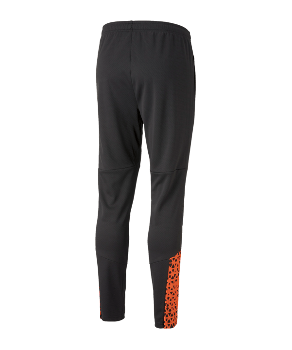 PUMA individualCUP Trainingshose Schwarz F50 - schwarz