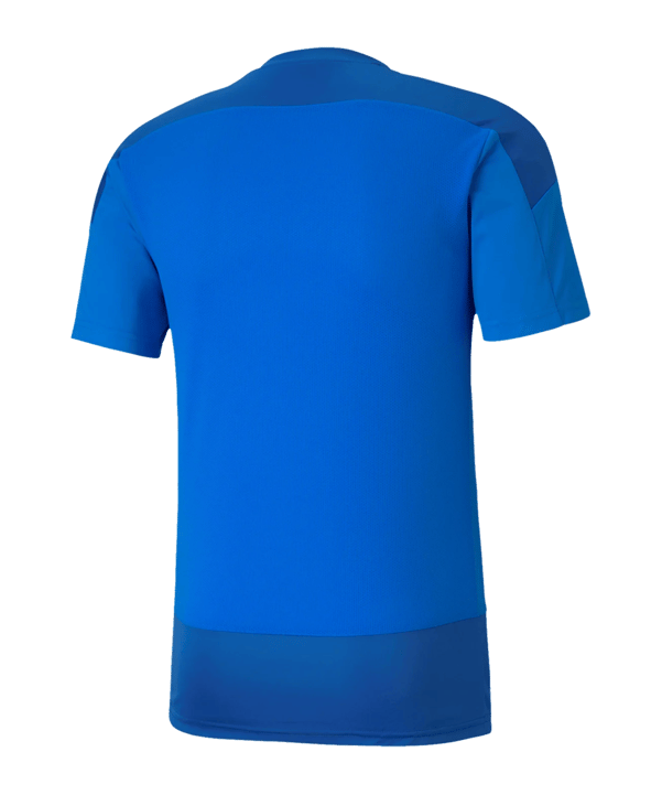 PUMA SKU Amstetten Trainingsshirt Blau F02 - blau