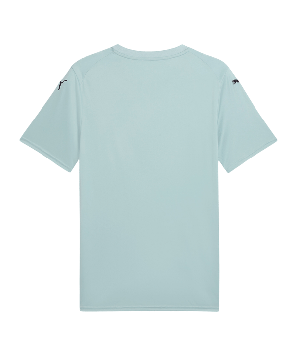 PUMA TeamFINAL Trikot Grün F41 - gruen
