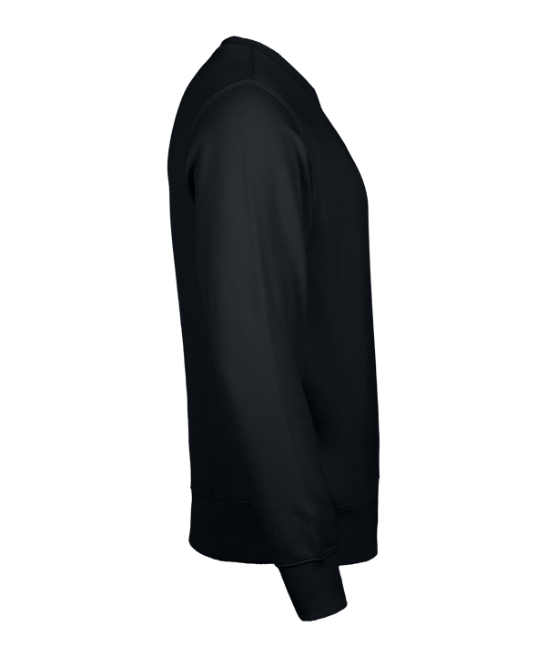 Nike Park 26 Sweatshirt Schwarz F010 - schwarz