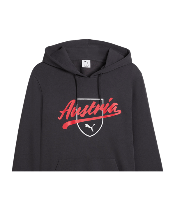 PUMA ÖFB Österreich FtblCulture Hoody Grau F25 - grau