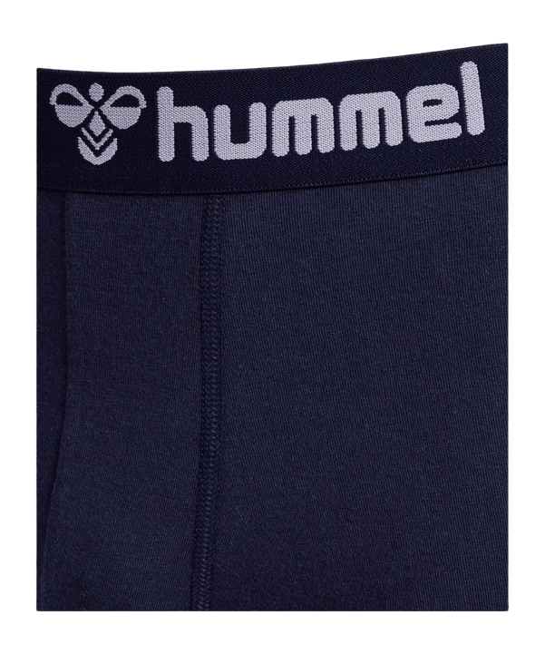 Hummel 2-Pack underwear Shorts blu F7026 - blu