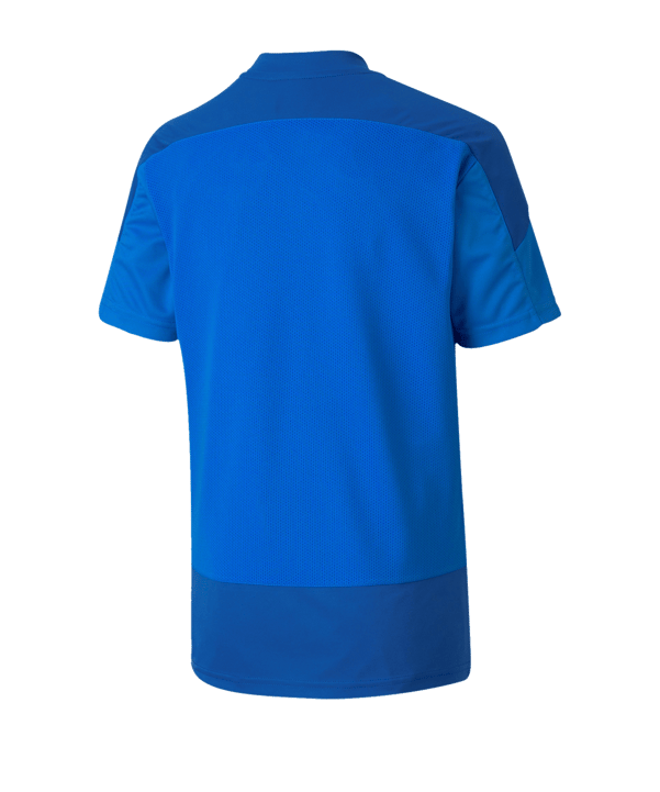 PUMA teamGOAL 23 Training Trikot Kids Blau F02 - blau