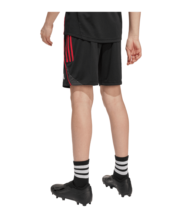 adidas Ajax Amsterdam Training Short Kids Schwarz - schwarz