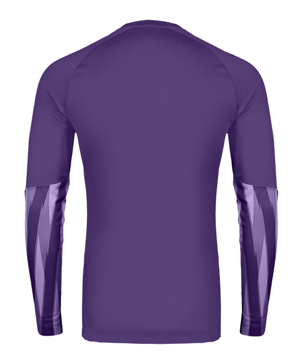 Nike Park V Trikot langarm Lila F507 - lila