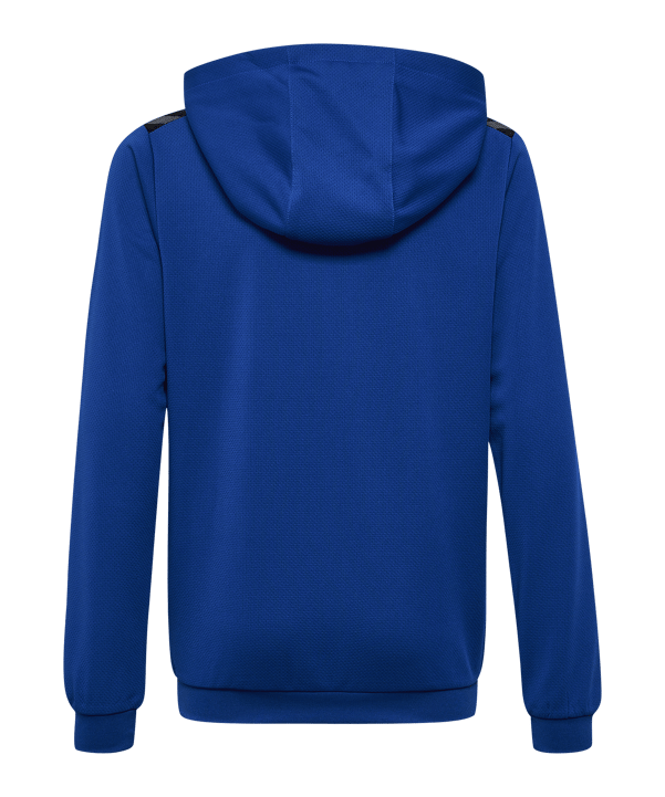 Hummel hmlAUTHENTIC PL Hoody Kids Blau F7045 - blau