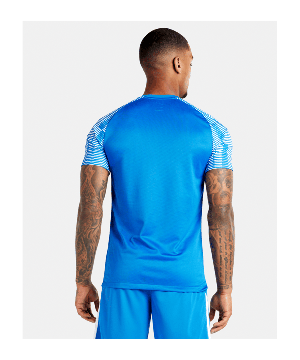 Nike Academy Trikot Blau Weiss F463 - blau
