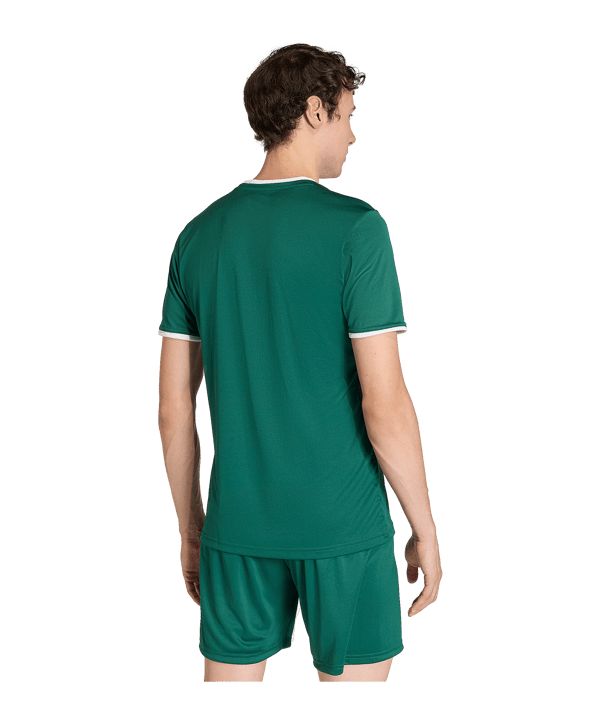 adidas Entrada 26 Trikot Grün - gruen