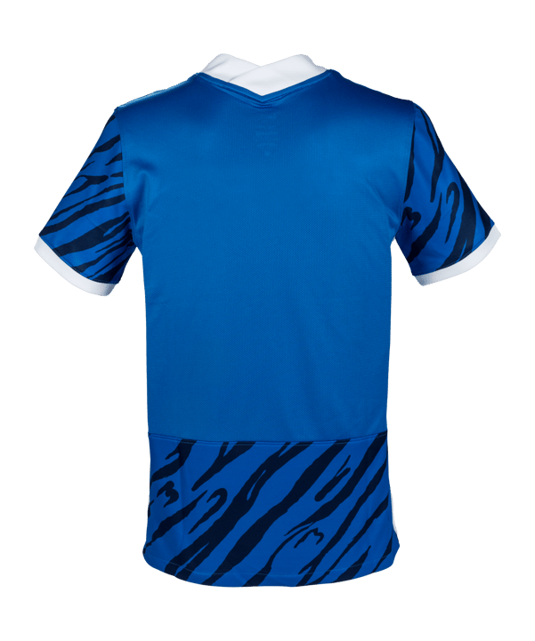 Nike Hansa Rostock Trikot Home 22/23 Blau F465 - blau