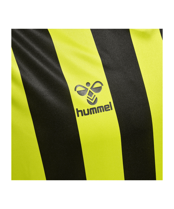 Hummel hmlCORE XK Striped Trikot Grün F5047 - gruen