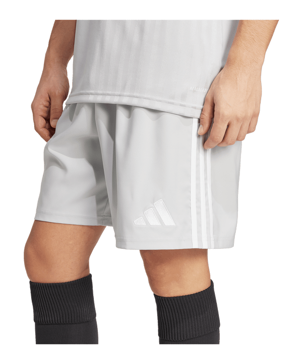 adidas Tastigo 25 Short Grau - grau
