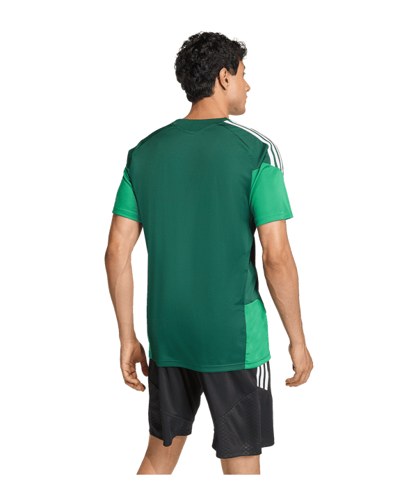 adidas Tiro 26 Competition Trikot Grün - gruen