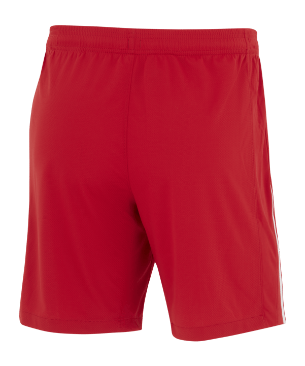Nike TFF Türkei Short EM 2024 Rot Weiss F687 - rot