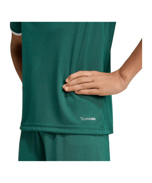 adidas Entrada 26 Trikot Kids Grün - gruen