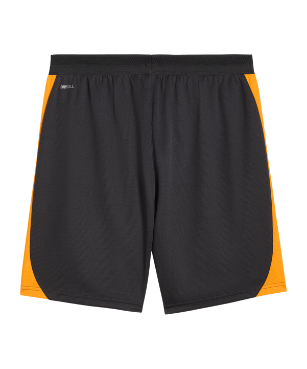 PUMA Galatasaray Istanbul Training Short Grau F06 - grau