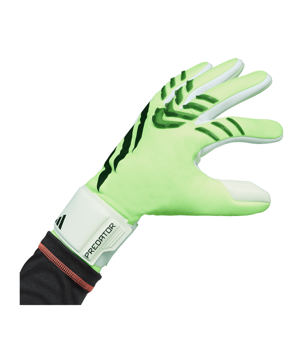adidas Predator League Torwarthandschuhe Radiant Blaze Grün - gruen