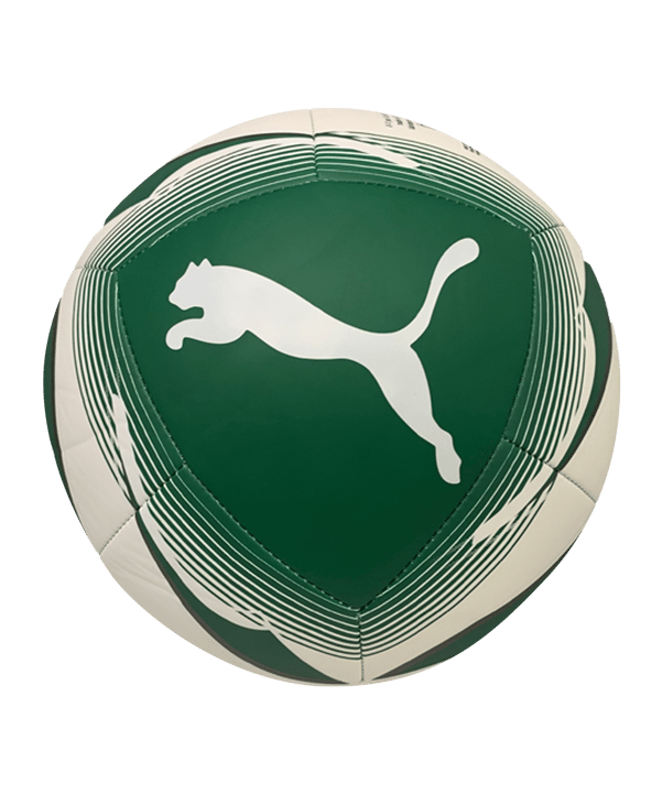 PUMA SK Rapid Wien Icon Ball Grün Weiss F01 - gruen