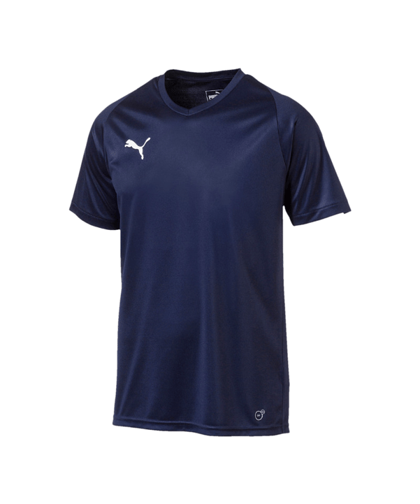 PUMA LIGA Core Trikot kurzarm Blau Weiss F06 - blau