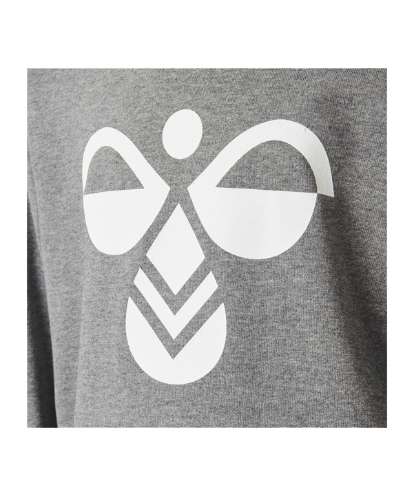 Hummel Cuatro Hoody Kids Grau F2800 - grau