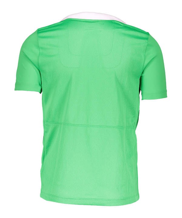 Nike Academy Pro 24 Trainingsshirt Kids Grün F329 - gruen