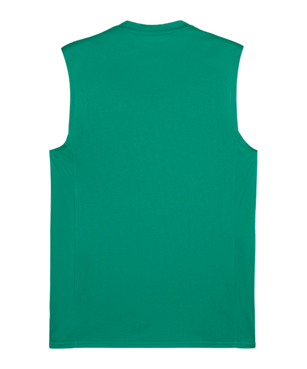 PUMA TeamGoal Trikot Grün F05 - gruen