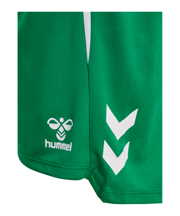 Hummel hmlLEAD 2.0 Short Damen Grün F6235 - gruen