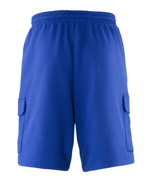 adidas FC Schalke 04 Essentials Short Blau - blau
