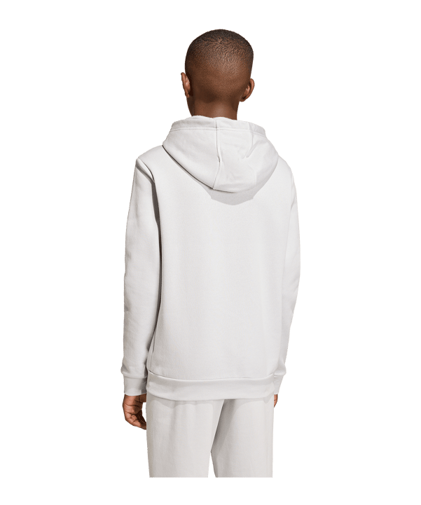 adidas Entrada 26 Hoody Kids Grau - grau