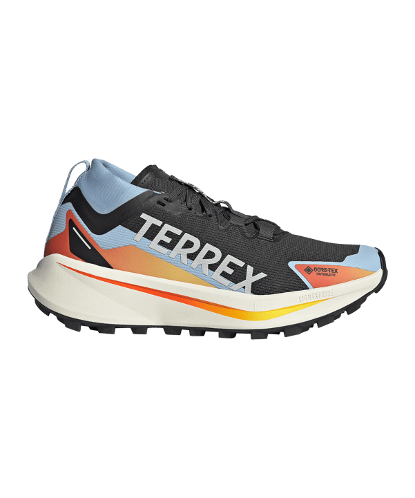 adidas TERREX Damen Agravic GTX Laufschuh Schwarz - nero
