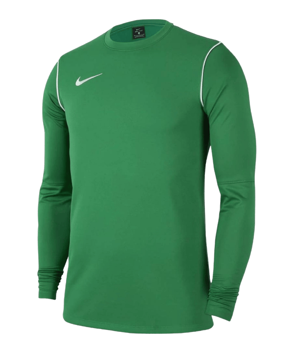 Nike Park 20 Sweatshirt Grün Weiss F302 - gruen