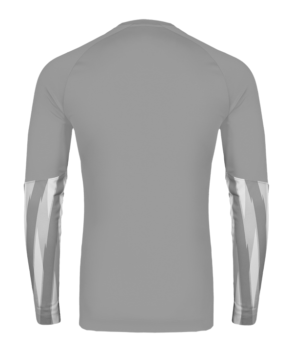 Nike Park V Trikot langarm Grau F097 - grau