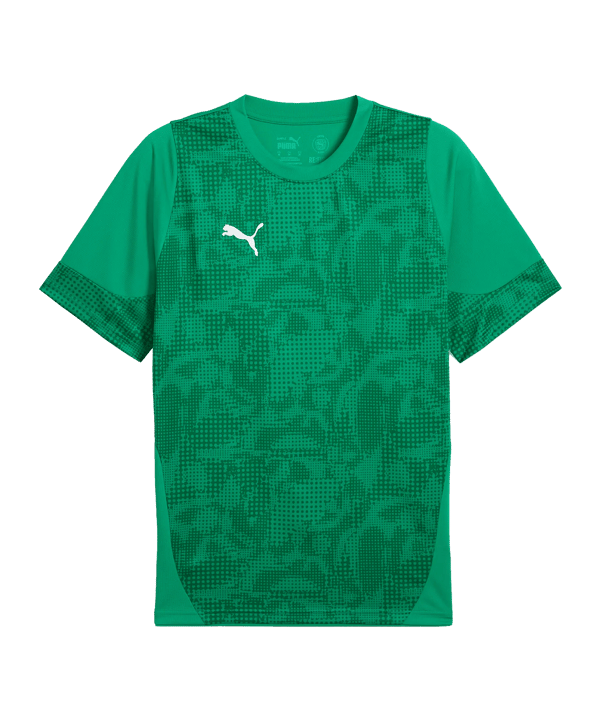 PUMA Trikot Grün F05 - gruen