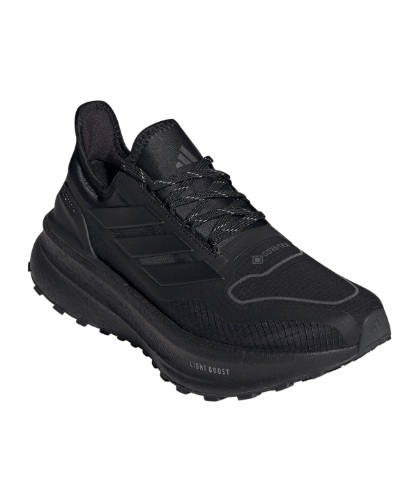 adidas Ultraboost 5 GTX Laufschuh Damen Schwarz - schwarz