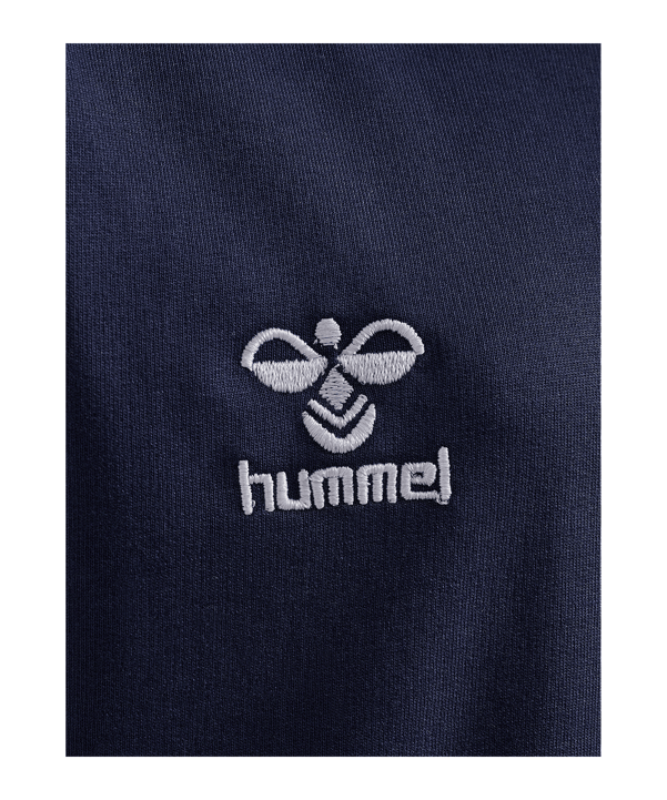 Hummel GO 2.0 Hoody Kids Blau F7026 - blau