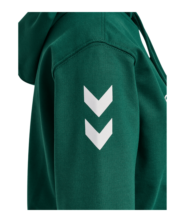 hummel Go 2.0 Chevron Kapuzenjacke Damen Grün F6140 - gruen