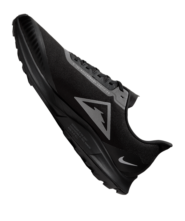 Nike Zoom Pegasus 36 Train GTX Running F001 - schwarz