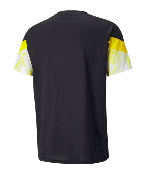 PUMA BVB Dortmund Iconic MCS T-Shirt Schwarz F02 - schwarz