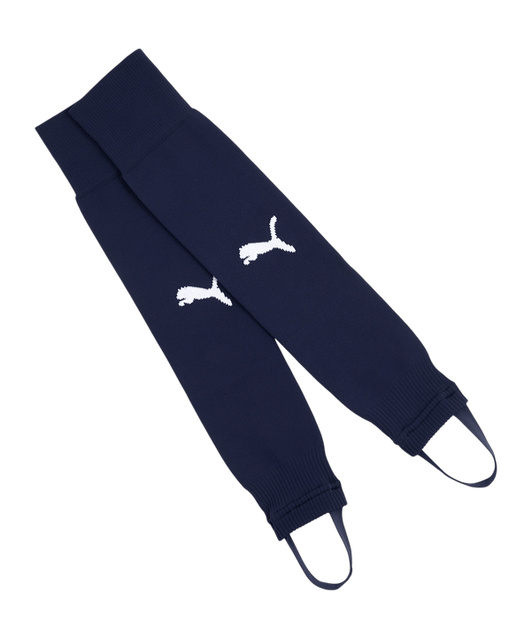 PUMA TeamLIGA26 Stegstutzen Blau F06 - blau