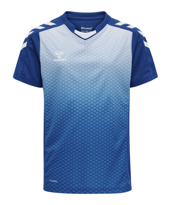 Hummel hmlCORE XK Sublima Trikot Kids Blau F7045 - blau