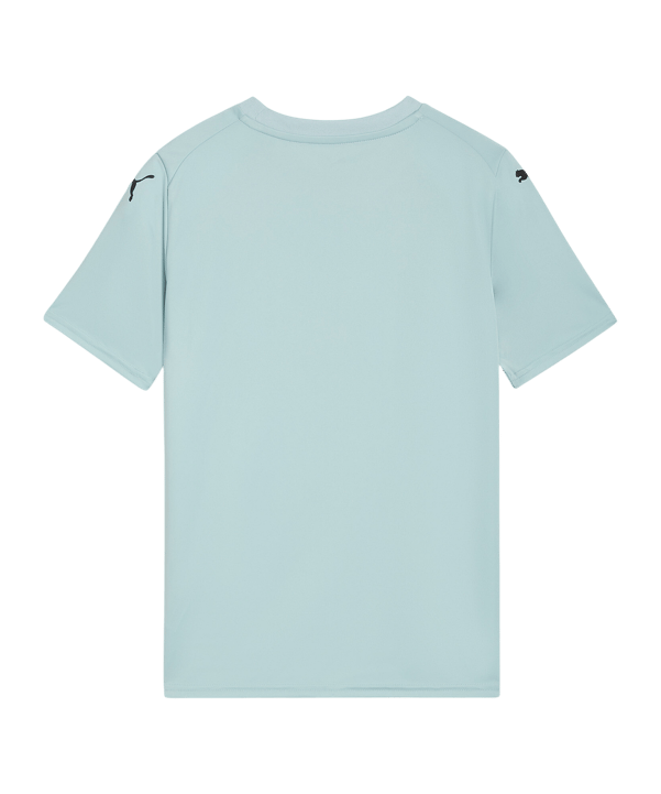 PUMA teamFINAL Graphic Trikot Kids Grün F41 - gruen