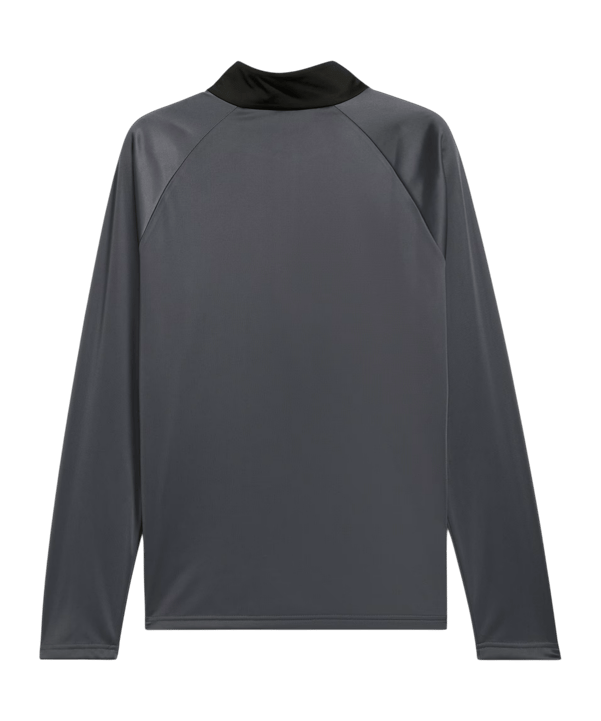 PUMA Sweatshirt Grau F08 - grau